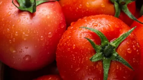 گوجه‌ فرنگی گلخانه‌ ای رسیده و آبدار